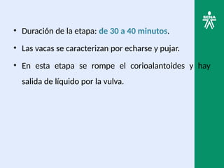 • Duración de la etapa: de 30 a 40 minutos.
• Las vacas se caracterizan por echarse y pujar.
• En esta etapa se rompe el corioalantoides y hay
salida de líquido por la vulva.
 
