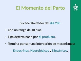 El Momento del Parto
Sucede alrededor del día 280.
- Con un rango de 10 días.
- Está determinado por el producto.
- Termina por ser una interacción de mecanismos:
Endocrinos, Neurológicos y Mecánicos.
 