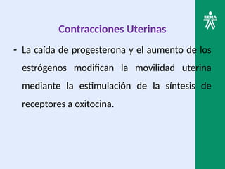 Contracciones Uterinas
- La caída de progesterona y el aumento de los
estrógenos modifican la movilidad uterina
mediante la estimulación de la síntesis de
receptores a oxitocina.
 