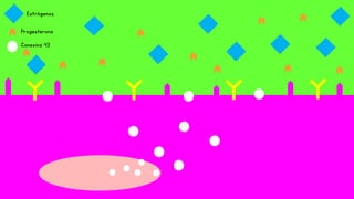 Estrógenos
Progesterona
Conexina 43
 