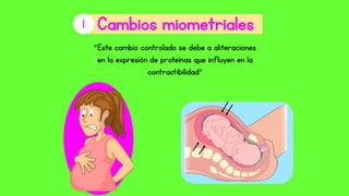 1
“Este cambio controlado se debe a aliteraciones
en la expresión de proteínas que influyen en la
contractibilidad”
 