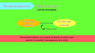 SintetasA2 de hialuronano
Funcionamiento dinámico en la creación de llenados de espacios para
aumentar la viscosidad y desorganización de la matriz.
 