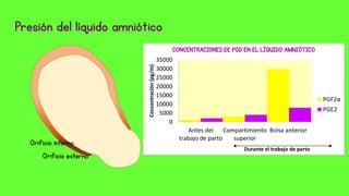 Orificio interno
Orificio externo
Presión del líquido amniótico
0
5000
10000
15000
20000
25000
30000
35000
Antes del
trabajo de parto
Compartimiento
superior
Bolsa anterior
Concentración(pg/m) Durante el trabajo de parto
CONCENTRACIONES DE PGD EN EL LÍQUIDO AMNIÓTICO
PGF2α
PGE2
 