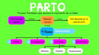 Proceso fisiológico que anuncia el nacimiento de un bebé
PARTO
Contracciones
uterinas
Dilatación
cervical
Feto descienda por el
canal de parto
producen provoca
4 fases
Se divide
Preludio La preparación El proceso Recuperación1 2 3 4
Superpuestas
Dilatación Expulsión Alumbramiento
etapas
 