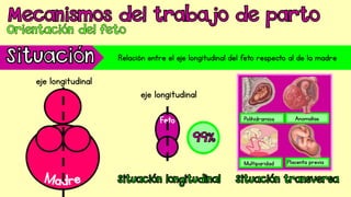 eje longitudinal eje longitudinal
Relación entre el eje longitudinal del feto respecto al de la madre
eje longitudinal
Polihidramios
Multiparidad
Anomalías
Placenta previa
 
