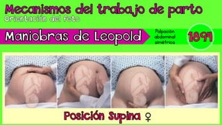 Palpación
abdominal
simétrica
 