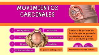Cambios de posición de
la parte que se presenta,
necesarios para pasar
por el conducto pélvico.
Presentaciones más comunesSe pueden sobreposicion
 