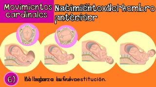 Al llegar a la vulva.La cabeza sufre restitución.
 