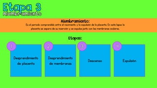 Es el periodo comprendido entre el nacimiento y la expulsión de la placenta. En este lapso la
placenta se separa de su inserción y se expulsa junto con las membranas ovulares.
Alumbramiento:
Desprendimiento
de placenta
Desprendimiento
de membranas
Descenso Expulsión
Etapas:
 