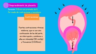 Desprendimiento de placenta
Duración: 4-8 min con promedio de 6.
Por medio de: contracciones y hematoma
Contracciones
Fuertes contracciones rítmicas
indoloras, que no son sino
continuación de las del parto,
sin interrupción y similares a
ellas en intensidad (50 mmHg)
y frecuencia (3-5/10min).
 
