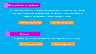 Descenso
Desprendida la placenta, ésta desciende del cuerpo al segmento y de aquí a la vagina
Contracciones uterinas Peso de placenta
Desprendimiento de membranas
Las membranas permanecen in situ hasta que la separación de la placenta está casi completa.
Luego, éstas se desprenden de la pared uterina, en parte por la contracción adicional del
miometrio y en parte por la tracción que ejerce la placenta.
Contracciones uterinas Tracción por placenta
 