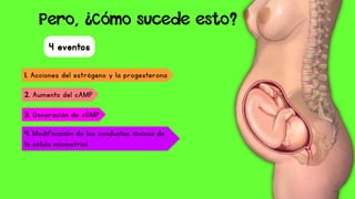 4 eventos
4. Modificación de los conductos iónicos de
la célula miometrial
1. Acciones del estrógeno y la progesterona
2. Aumento del cAMP
3. Generación de cGMP
Pero, ¿Cómo sucede esto?
 