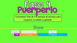 “Cuarentena” Fase de 4-6 semanas de duración, para
recuperar un estado no gestante.
24h 1-3 Semas 4-6 Semanas
Inmediato Mediato/intermedio Tardío
 