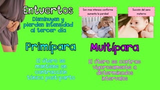 Son mas intensos conforme
aumenta la paridad
Succión del seno
materno
 