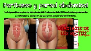 Los ligamentos ancho y redondo tardan tiempo considerable en recuperarse de la
distención y relajación que ocurren durante el embarazo.
Con respecto a la pared abdominal existe rotura de las fibras elásticas y distención
prolongada, lo que provoca que permanezca blanda y flácida.
Tarda varias
semanas y el
ejercicio ayuda
A veces puede ocurrir una separación marcada de los músculos de los rectos
 