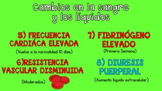 (Vuelve a la normalidad 10 días)
(Moderados)
(Primera Semana)
(Aumento líquido extracelular)
 