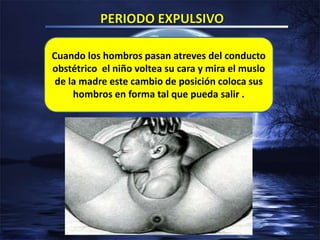 Cuando los hombros pasan atreves del conducto
obstétrico el niño voltea su cara y mira el muslo
de la madre este cambio de posición coloca sus
hombros en forma tal que pueda salir .
 