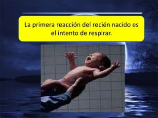 La primera reacción del recién nacido es
el intento de respirar.
 