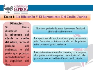 4
Etapa 1: La Dilatación Y El Borramiento Del Cuello Uterino
Dilatación:
Se llama
dilatación a
la abertura del
cérvix o cuello
del útero, como al
periodo del
embarazo o del
parto que precede
inmediatamente a
la expulsión del
feto.
El primer período de parto tiene como finalidad
dilatar el cuello uterino.
La aparición de contracciones progresivamente
más frecuentes e intensas suele ser la primera
señal de que el parto comienza.
Las contracciones iniciales contribuyen a preparar
al organismo materno para el nacimiento del bebe,
ya que provocan la dilatación del cuello uterino.
 