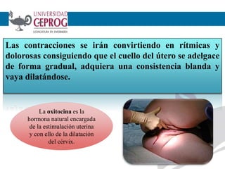 5
Las contracciones se irán convirtiendo en rítmicas y
dolorosas consiguiendo que el cuello del útero se adelgace
de forma gradual, adquiera una consistencia blanda y
vaya dilatándose.
La oxitocina es la
hormona natural encargada
de la estimulación uterina
y con ello de la dilatación
del cérvix.
 
