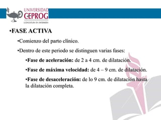 •FASE ACTIVA
•Comienzo del parto clínico.
•Dentro de este periodo se distinguen varias fases:
•Fase de aceleración: de 2 a 4 cm. de dilatación.
•Fase de máxima velocidad: de 4 – 9 cm. de dilatación.
•Fase de desaceleración: de lo 9 cm. de dilatación hasta
la dilatación completa.
 