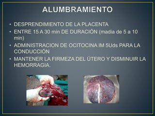 • DESPRENDIMIENTO DE LA PLACENTA
• ENTRE 15 A 30 min DE DURACIÓN (madia de 5 a 10
min)
• ADMINISTRACION DE OCITOCINA IM 5Uds PARA LA
CONDUCCIÓN
• MANTENER LA FIRMEZA DEL ÚTERO Y DISMINUIR LA
HEMORRAGIA.
 