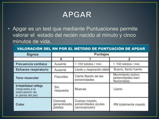 • Apgar es un test que mediante Puntuaciones permite
valorar el estado del recién nacido al minuto y cinco
minutos de vida.
 