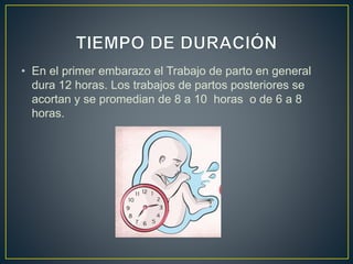 • En el primer embarazo el Trabajo de parto en general
dura 12 horas. Los trabajos de partos posteriores se
acortan y se promedian de 8 a 10 horas o de 6 a 8
horas.
 