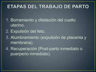 1. Borramiento y dilatación del cuello
uterino.
2. Expulsión del feto.
3. Alumbramiento (expulsión de placenta y
membrana).
4. Recuperación (Post-parto inmediato o
puerperio inmediato).
 