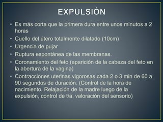 • Es más corta que la primera dura entre unos minutos a 2
horas
• Cuello del útero totalmente dilatado (10cm)
• Urgencia de pujar
• Ruptura espontánea de las membranas.
• Coronamiento del feto (aparición de la cabeza del feto en
la abertura de la vagina)
• Contracciones uterinas vigorosas cada 2 o 3 min de 60 a
90 segundos de duración. (Control de la hora de
nacimiento. Relajación de la madre luego de la
expulsión, control de t/a, valoración del sensorio)
 