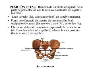 -  POSICIÓN FETAL .- Relación de un punto designado de la parte de presentación con los cuatro cuadrantes de la pelvis materna Lado derecho (D), lado izquierdo (I) de la pelvis materna. Punto de referencia de la parte de presentación fetal: occipucio (O), sacro (S), mentón o cara (M), acromion (A). Ubicación del punto designado respecto de la cara anterior (de frente hacia la sínfisis púbica) o hacia la cara posterior (hacia el sacro) de la pelvis. 