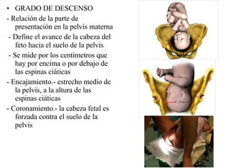 GRADO DE DESCENSO - Relación de la parte de presentación en la pelvis materna - Define el avance de la cabeza del feto hacia el suelo de la pelvis - Se mide por los centímetros que hay por encima o por debajo de las espinas ciáticas  - Encajamiento.- estrecho medio de la pelvis, a la altura de las espinas ciáticas - Coronamiento.- la cabeza fetal es forzada contra el suelo de la pelvis 