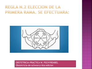 OBSTETRICIA-PRACTICA W. PSCHYREMBEL
Obstetricia-de-schwarcz-6ta-edicion
 