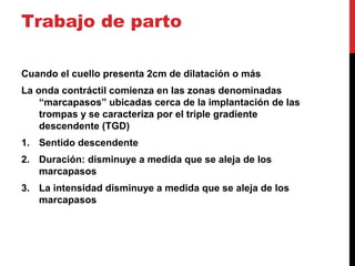 Trabajo de parto
Cuando el cuello presenta 2cm de dilatación o más
La onda contráctil comienza en las zonas denominadas
“marcapasos” ubicadas cerca de la implantación de las
trompas y se caracteriza por el triple gradiente
descendente (TGD)
1. Sentido descendente
2. Duración: disminuye a medida que se aleja de los
marcapasos
3. La intensidad disminuye a medida que se aleja de los
marcapasos
 
