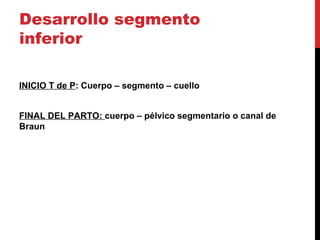 Desarrollo segmento
inferior
INICIO T de P: Cuerpo – segmento – cuello
FINAL DEL PARTO: cuerpo – pélvico segmentario o canal de
Braun
 
