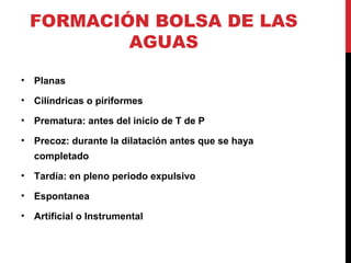 FORMACIÓN BOLSA DE LAS
AGUAS
• Planas
• Cilíndricas o piriformes
• Prematura: antes del inicio de T de P
• Precoz: durante la dilatación antes que se haya
completado
• Tardía: en pleno periodo expulsivo
• Espontanea
• Artificial o Instrumental
 