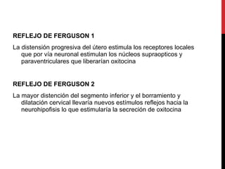 REFLEJO DE FERGUSON 1
La distensión progresiva del útero estimula los receptores locales
que por vía neuronal estimulan los núcleos supraopticos y
paraventriculares que liberarían oxitocina
REFLEJO DE FERGUSON 2
La mayor distención del segmento inferior y el borramiento y
dilatación cervical llevaría nuevos estímulos reflejos hacia la
neurohipofisis lo que estimularía la secreción de oxitocina
 