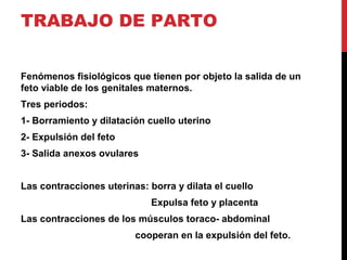 TRABAJO DE PARTO
Fenómenos fisiológicos que tienen por objeto la salida de un
feto viable de los genitales maternos.
Tres periodos:
1- Borramiento y dilatación cuello uterino
2- Expulsión del feto
3- Salida anexos ovulares
Las contracciones uterinas: borra y dilata el cuello
Expulsa feto y placenta
Las contracciones de los músculos toraco- abdominal
cooperan en la expulsión del feto.
 