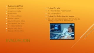  Evaluación pélvica
 A.- Estrecho superior:
 Línea innominada.
 Promontorio
 B.- Estrecho Medio
 Espinas ciáticas.
 Ligamento sacro-ciático
 Cara anterior del Sacro.
 C.- Estrecho inferior
 Angulo sub-púbico
 Espacio interisquiático.
 Evaluación fetal
 A.- Variedad de Presentación
 B.- Tamaño fetal.
 Evaluación de la dinámica uterina
 De 3 a 5 contracciones en 10 minutos de
40 segundos o más de duración.
 