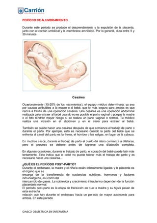 GINECO-OBSTETRICIA EN ENFERMERIA
PERÍODO DE ALUMBRAMIENTO
Durante este período se produce el desprendimiento y la expulsión de la placenta,
junto con el cordón umbilical y la membrana amniótico. Por lo general, dura entre 5 y
30 minutos
.
Cesárea
Ocasionalmente (15-20% de los nacimientos), el equipo médico determinará, ya sea
por causas atribuibles a la madre o al bebé, que lo más seguro para ambos es que
nazca a través de una operación cesárea. Una cesárea es una operación abdominal
realizada para extraer al bebé cuando no es posible el parto vaginal o porque la madre
o el feto tendrán mayor riesgo si se realiza un parto vaginal o normal. Tu médico
realiza una incisión en el abdomen y en el útero para extraer al bebé.
También se puede hacer una cesárea después de que comienza el trabajo de parto o
durante el parto. Por ejemplo, esto es necesario cuando la parte del bebé que se
enfrenta al canal del parto es la frente, el hombro o las nalgas, en lugar de la cabeza.
En muchos casos, durante el trabajo de parto el cuello del útero comienza a dilatarse,
pero el proceso se detiene antes de lograrse una dilatación completa.
En algunas ocasiones, durante el trabajo de parto, el corazón del bebé puede latir más
lentamente. Esto indica que el bebé no puede tolerar más el trabajo de parto y es
necesario hacer una cesárea...
¿QUÉ ES EL PERÍODO POST-PARTO?
Durante el embarazo, la madre y el niño/a están íntimamente ligados y la placenta es
el órgano que se
encarga de la transferencia de sustancias nutritivas, hormonas y factores
inmunológicos, así como del
intercambio de gases. La sobrevida y crecimiento intrauterino dependen de la función
placentaria normal.
El período post-parto es la etapa de transición en que la madre y su hijo/a pasan de
esta estrecha
relación que hay durante el embarazo hacia un período de mayor autonomía para
ambos. En este período
 