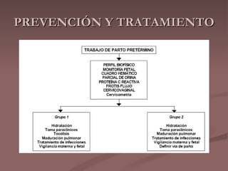 PREVENCIÓN Y TRATAMIENTO 