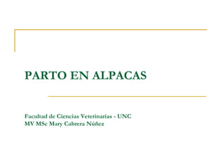 PARTO EN ALPACAS
Facultad de Ciencias Veterinarias - UNC
MV MSc Mary Cabrera Núñez
 