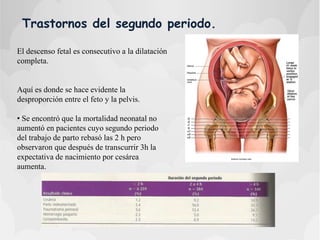 Trastornos del segundo periodo.
El descenso fetal es consecutivo a la dilatación
completa.
Aquí es donde se hace evidente la
desproporción entre el feto y la pelvis.
• Se encontró que la mortalidad neonatal no
aumentó en pacientes cuyo segundo periodo
del trabajo de parto rebasó las 2 h pero
observaron que después de transcurrir 3h la
expectativa de nacimiento por cesárea
aumenta.
 