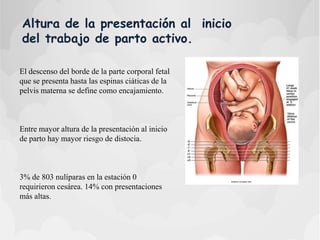 Altura de la presentación al inicio
del trabajo de parto activo.
El descenso del borde de la parte corporal fetal
que se presenta hasta las espinas ciáticas de la
pelvis materna se define como encajamiento.
Entre mayor altura de la presentación al inicio
de parto hay mayor riesgo de distocia.
3% de 803 nulíparas en la estación 0
requirieron cesárea. 14% con presentaciones
más altas.
 