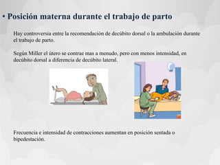 • Posición materna durante el trabajo de parto
Hay controversia entre la recomendación de decúbito dorsal o la ambulación durante
el trabajo de parto.
Según Miller el útero se contrae mas a menudo, pero con menos intensidad, en
decúbito dorsal a diferencia de decúbito lateral.
Frecuencia e intensidad de contracciones aumentan en posición sentada o
bipedestación.
 