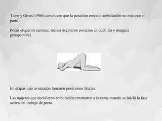 Lupe y Gross (1986) concluyen que la posición erecta o ambulación no mejoran el
parto.
Pocas eligieron caminar, menos aceptaron posición en cuclillas y ninguna
genupectoral.
En etapas más avanzadas tomaron posiciones fetales.
Las mujeres que decidieron ambulación retornaron a la cama cuando se inició la fase
activa del trabajo de parto.
 
