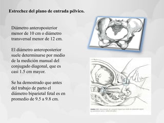 Estrechez del plano de entrada pélvico.
Diámetro anteroposterior
menor de 10 cm o diámetro
transversal menor de 12 cm.
El diámetro anteroposterior
suele determinarse por medio
de la medición manual del
conjugado diagonal, que es
casi 1.5 cm mayor.
Se ha demostrado que antes
del trabajo de parto el
diámetro biparietal fetal es en
promedio de 9.5 a 9.8 cm.
 
