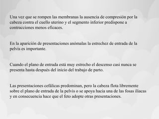 Una vez que se rompen las membranas la ausencia de compresión por la
cabeza contra el cuello uterino y el segmento inferior predispone a
contracciones menos eficaces.
En la aparición de presentaciones anómalas la estrechez de entrada de la
pelvis es importante.
Cuando el plano de entrada está muy estrecho el descenso casi nunca se
presenta hasta después del inicio del trabajo de parto.
Las presentaciones cefálicas predominan, pero la cabeza flota libremente
sobre el plano de entrada de la pelvis o se apoya hacia una de las fosas iliacas
y en consecuencia hace que el feto adopte otras presentaciones.
 