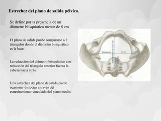 Estrechez del plano de salida pélvico.
Se define por la presencia de un
diámetro biisquiático menor de 8 cm.
El plano de salida puede compararse a 2
triángulos donde el diámetro biisquiático
es la base.
La reducción del diámetro biisquiático con
reducción del triangulo anterior fuerza la
cabeza hacia atrás.
Una estrechez del plano de salida puede
ocasionar distocias a través del
estrechamiento vinculado del plano medio.
 