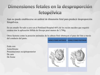 Aun no puede establecerse un umbral de dimensión fetal para predecir desproporción
fetopélvica.
En un estudio llevado a cavo en el Parkland Hospital 66% de los recién nacidos que requirió
cesárea tras la aplicación fallida de fórceps pesó menos de 3,700g.
Otros factores como la posición anómalas de la cabeza fetal obstruyen el paso del feto a través
del conducto del parto.
Estás son:
Asinclitismo
Presentaciones occipitoposterior
De cara
De frente
 